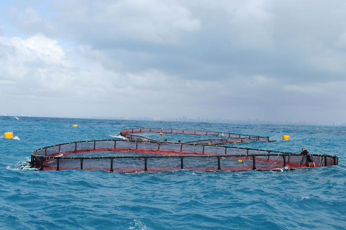 Offshore fishcage